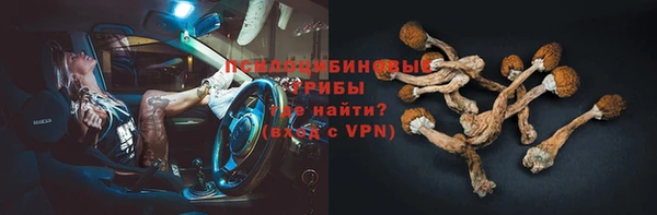 стафф Алексеевка