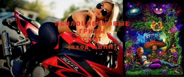стафф Алексеевка