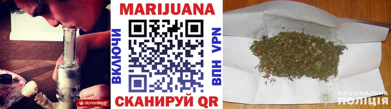 Канабис сатива  где купить   Лермонтов 